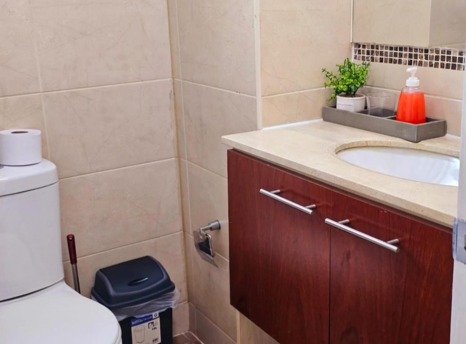 Apart Hotel Suagon Suites Santiago Centro Exteriör bild